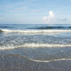 Meet your Posher, Connie